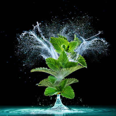 A Bar - 9000 - $50 - ( Better Alternative to Ali Is KUZ-9000)